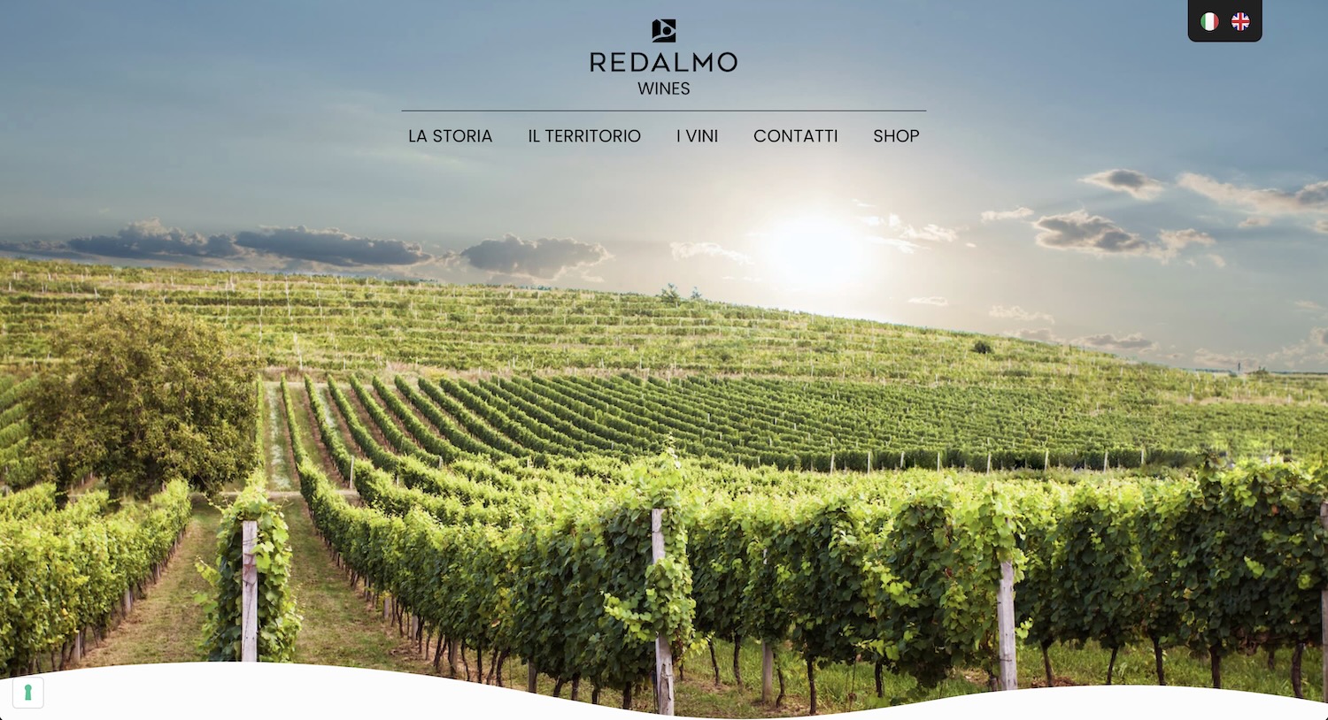 Realizzazione Siti Web E-Commerce 25 Screenshot del sito web del produttore di vino Redalmo Wines, cliente di ALOUD Marketing, web design e advertising